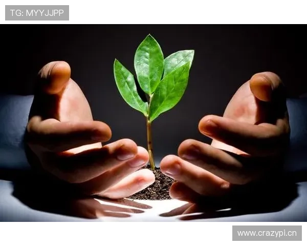 从创业新手到成功企业家：探索成长路径与关键转折点的全景式剖析