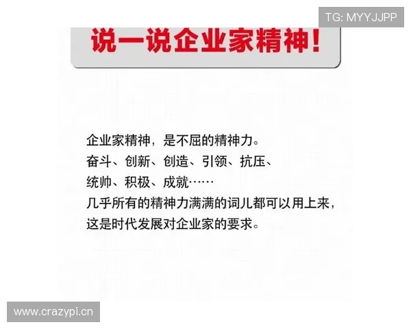杰出青年企业家在新时代下的创新精神与社会责任担当分析